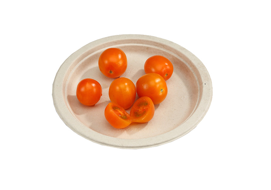 9" Sugarcane Round Plate – Carton of 500