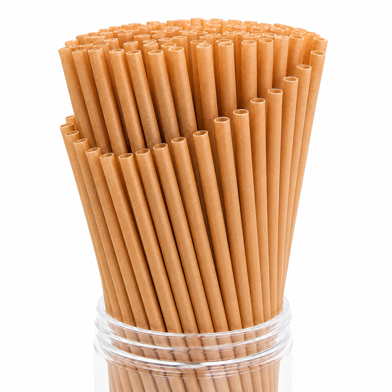 Regular Sugarcane Straws Carton of 1000