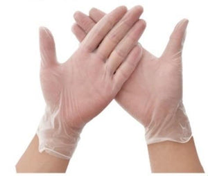 Large Clear Vinyl Powder Free Gloves Carton of 1000