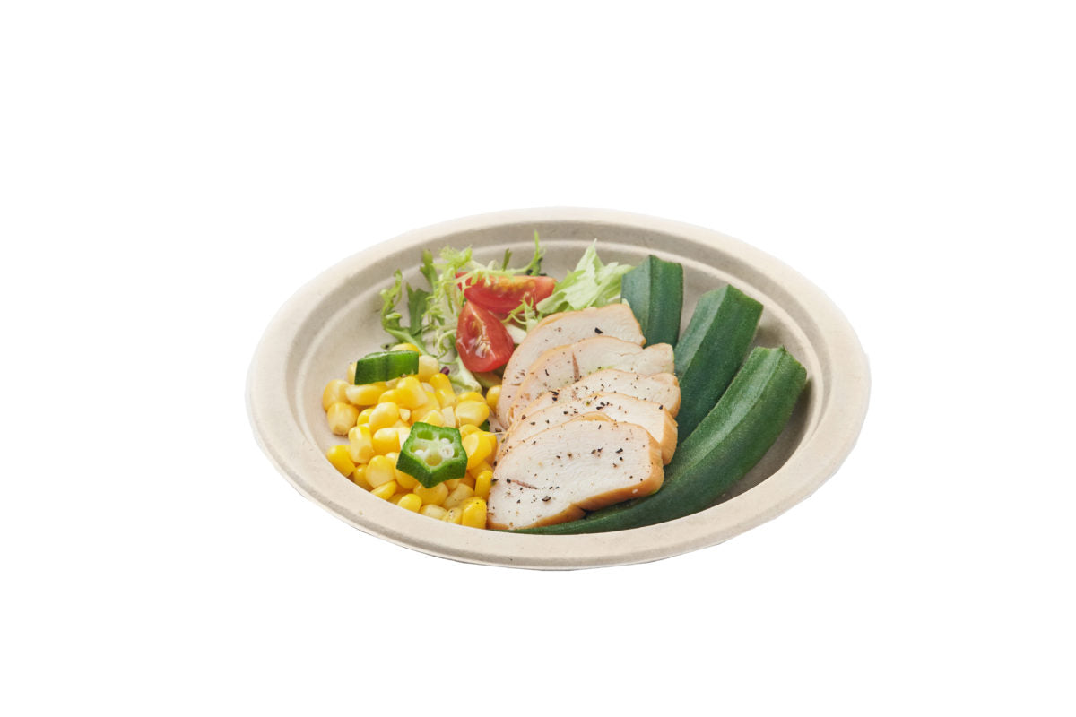 9" Sugarcane Round Plate – Carton of 500
