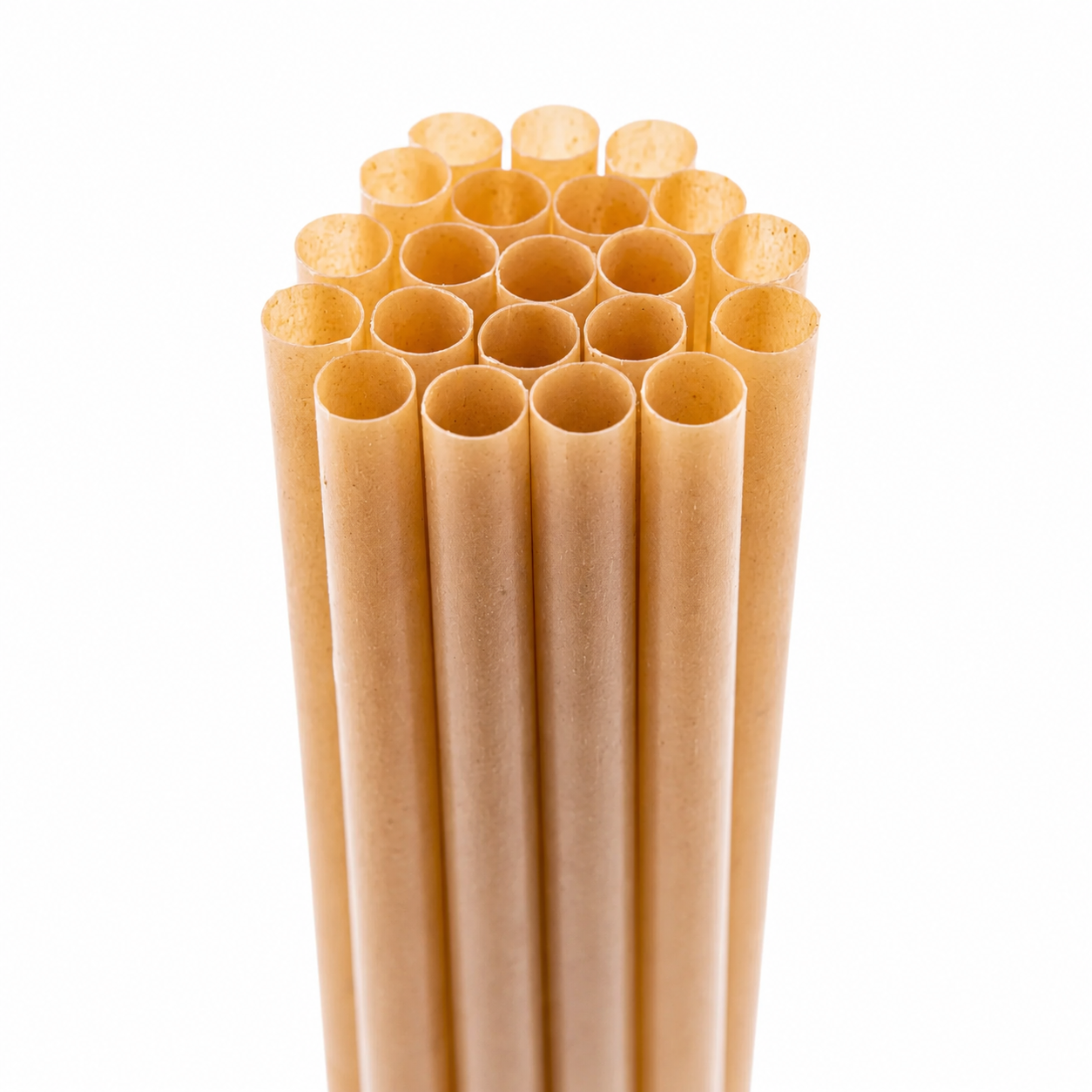 Jumbo Sugarcane Straws Carton of 1000